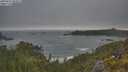 ./images/calvert/foggy-cove/20250621/foggy-cove20250621_054506M.jpg