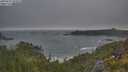 ./images/calvert/foggy-cove/20250621/foggy-cove20250621_055008M.jpg