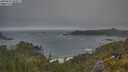 ./images/calvert/foggy-cove/20250621/foggy-cove20250621_064011M.jpg