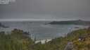 ./images/calvert/foggy-cove/20250621/foggy-cove20250621_065008M.jpg