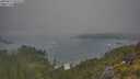 ./images/calvert/foggy-cove/20250621/foggy-cove20250621_073507M.jpg
