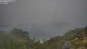 ./images/calvert/foggy-cove/20250621/foggy-cove20250621_074510M.jpg