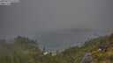 ./images/calvert/foggy-cove/20250621/foggy-cove20250621_075510M.jpg