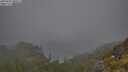 ./images/calvert/foggy-cove/20250621/foggy-cove20250621_080506M.jpg