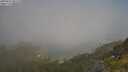 ./images/calvert/foggy-cove/20250621/foggy-cove20250621_081510M.jpg