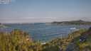 ./images/calvert/foggy-cove/20250621/foggy-cove20250621_084509M.jpg