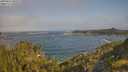 ./images/calvert/foggy-cove/20250621/foggy-cove20250621_090510M.jpg