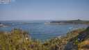 ./images/calvert/foggy-cove/20250621/foggy-cove20250621_094509M.jpg