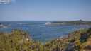 ./images/calvert/foggy-cove/20250621/foggy-cove20250621_100509M.jpg