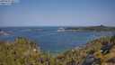 ./images/calvert/foggy-cove/20250621/foggy-cove20250621_101509M.jpg