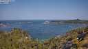 ./images/calvert/foggy-cove/20250621/foggy-cove20250621_102509M.jpg