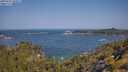 ./images/calvert/foggy-cove/20250621/foggy-cove20250621_103011M.jpg