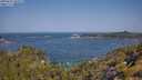 ./images/calvert/foggy-cove/20250621/foggy-cove20250621_103509M.jpg