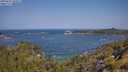 ./images/calvert/foggy-cove/20250621/foggy-cove20250621_104509M.jpg