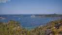 ./images/calvert/foggy-cove/20250621/foggy-cove20250621_105509M.jpg