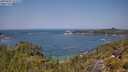 ./images/calvert/foggy-cove/20250621/foggy-cove20250621_122510M.jpg