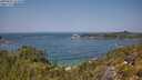 ./images/calvert/foggy-cove/20250621/foggy-cove20250621_124510M.jpg