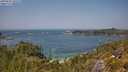 ./images/calvert/foggy-cove/20250621/foggy-cove20250621_132508M.jpg