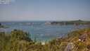 ./images/calvert/foggy-cove/20250621/foggy-cove20250621_135509M.jpg