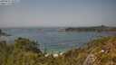 ./images/calvert/foggy-cove/20250621/foggy-cove20250621_144009M.jpg
