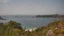 ./images/calvert/foggy-cove/20250621/foggy-cove20250621_151010M.jpg