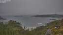 ./images/calvert/foggy-cove/20250622/foggy-cove20250622_053009M.jpg