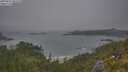 ./images/calvert/foggy-cove/20250622/foggy-cove20250622_053508M.jpg