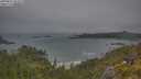 ./images/calvert/foggy-cove/20250622/foggy-cove20250622_062010M.jpg