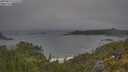./images/calvert/foggy-cove/20250622/foggy-cove20250622_073510M.jpg