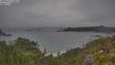 ./images/calvert/foggy-cove/20250622/foggy-cove20250622_074008M.jpg