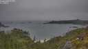 ./images/calvert/foggy-cove/20250622/foggy-cove20250622_074507M.jpg