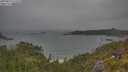 ./images/calvert/foggy-cove/20250622/foggy-cove20250622_075510M.jpg
