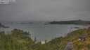 ./images/calvert/foggy-cove/20250622/foggy-cove20250622_080011M.jpg