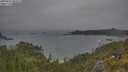 ./images/calvert/foggy-cove/20250622/foggy-cove20250622_082008M.jpg