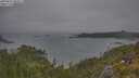 ./images/calvert/foggy-cove/20250622/foggy-cove20250622_083011M.jpg