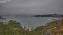./images/calvert/foggy-cove/20250622/foggy-cove20250622_083505M.jpg