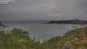 ./images/calvert/foggy-cove/20250622/foggy-cove20250622_090010M.jpg