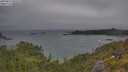 ./images/calvert/foggy-cove/20250622/foggy-cove20250622_090510M.jpg