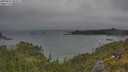 ./images/calvert/foggy-cove/20250622/foggy-cove20250622_091011M.jpg