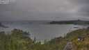 ./images/calvert/foggy-cove/20250622/foggy-cove20250622_092010M.jpg