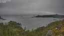 ./images/calvert/foggy-cove/20250622/foggy-cove20250622_095509M.jpg