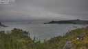 ./images/calvert/foggy-cove/20250622/foggy-cove20250622_100509M.jpg