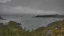 ./images/calvert/foggy-cove/20250622/foggy-cove20250622_101011M.jpg