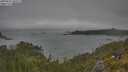 ./images/calvert/foggy-cove/20250622/foggy-cove20250622_101511M.jpg