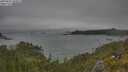 ./images/calvert/foggy-cove/20250622/foggy-cove20250622_102011M.jpg