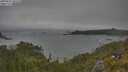 ./images/calvert/foggy-cove/20250622/foggy-cove20250622_102510M.jpg