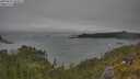 ./images/calvert/foggy-cove/20250622/foggy-cove20250622_103011M.jpg