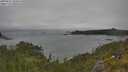 ./images/calvert/foggy-cove/20250622/foggy-cove20250622_104010M.jpg