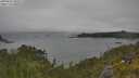 ./images/calvert/foggy-cove/20250622/foggy-cove20250622_104509M.jpg