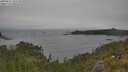 ./images/calvert/foggy-cove/20250622/foggy-cove20250622_105510M.jpg